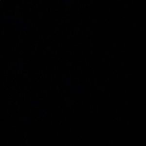 Meet your Posher, Manuel